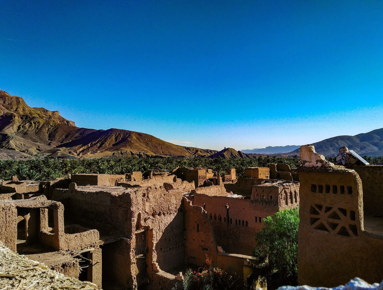 Palmeraie du Drâa