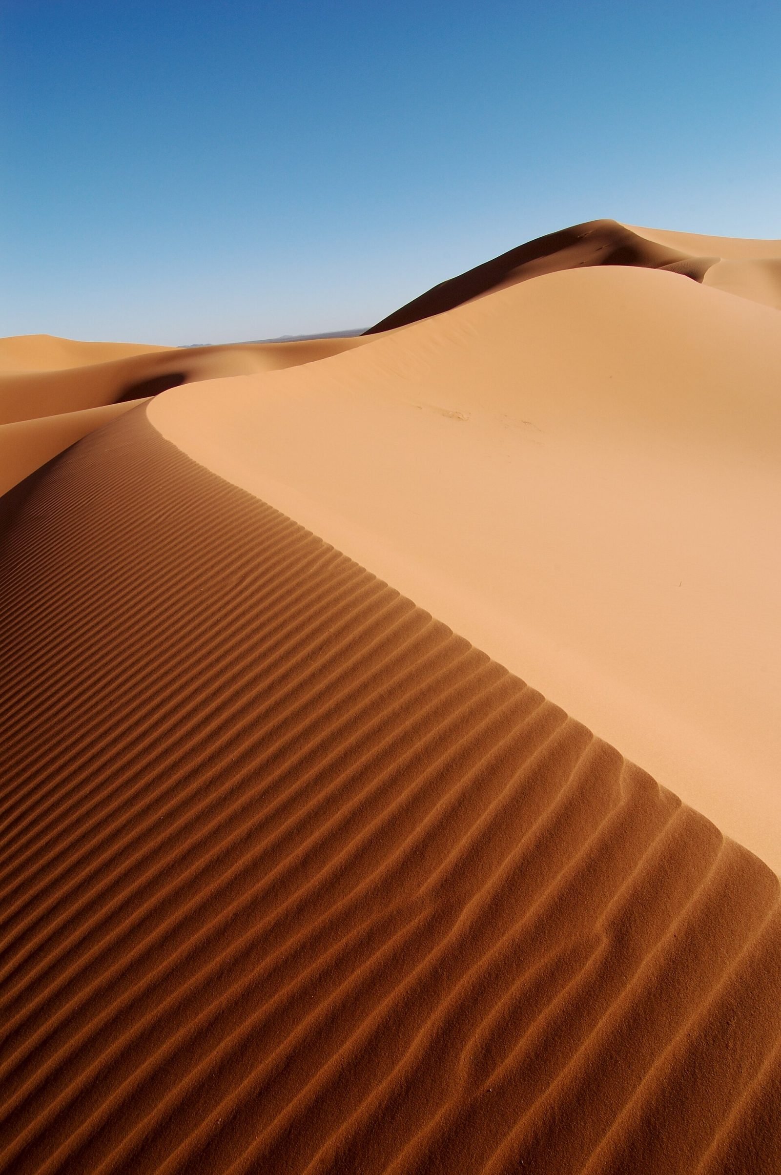 Préparer son voyage dans le désert marocain