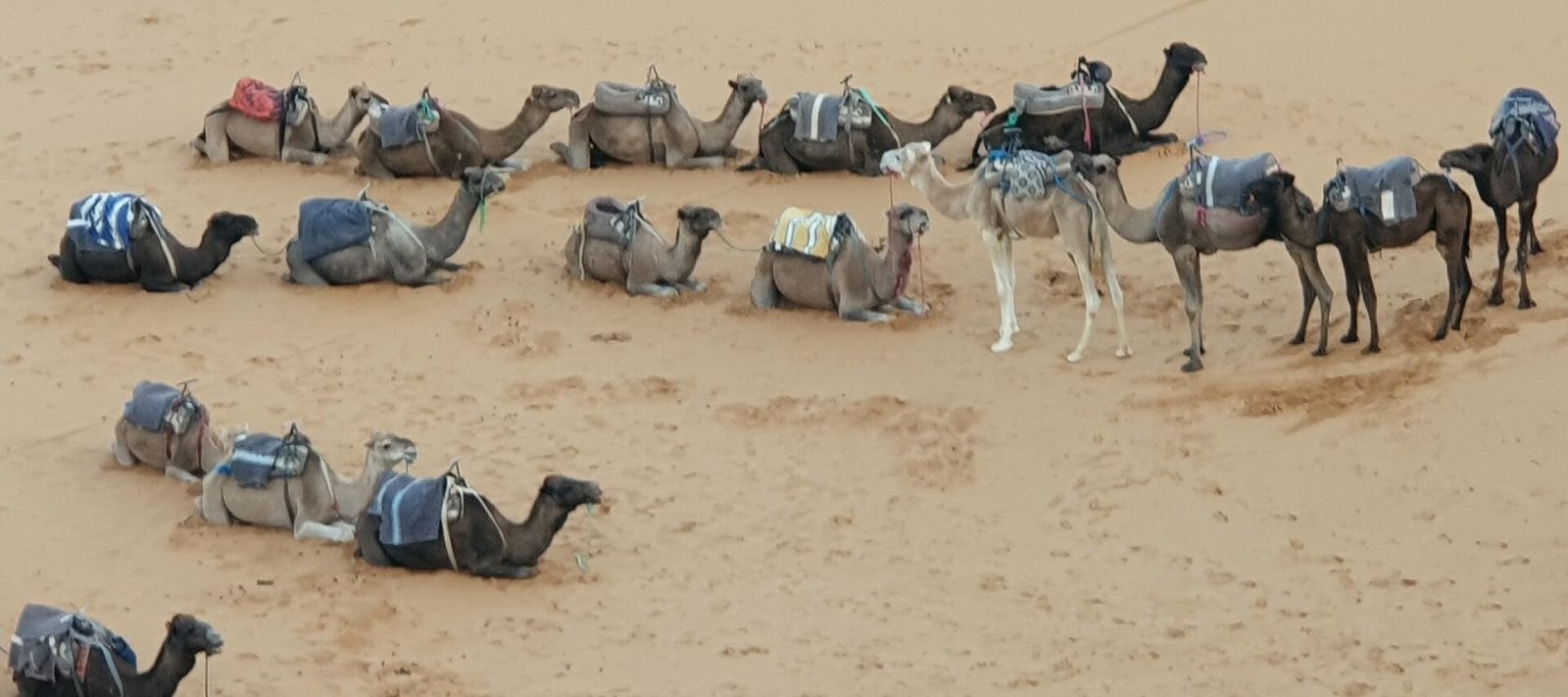 Désert de Merzouga 3 jours